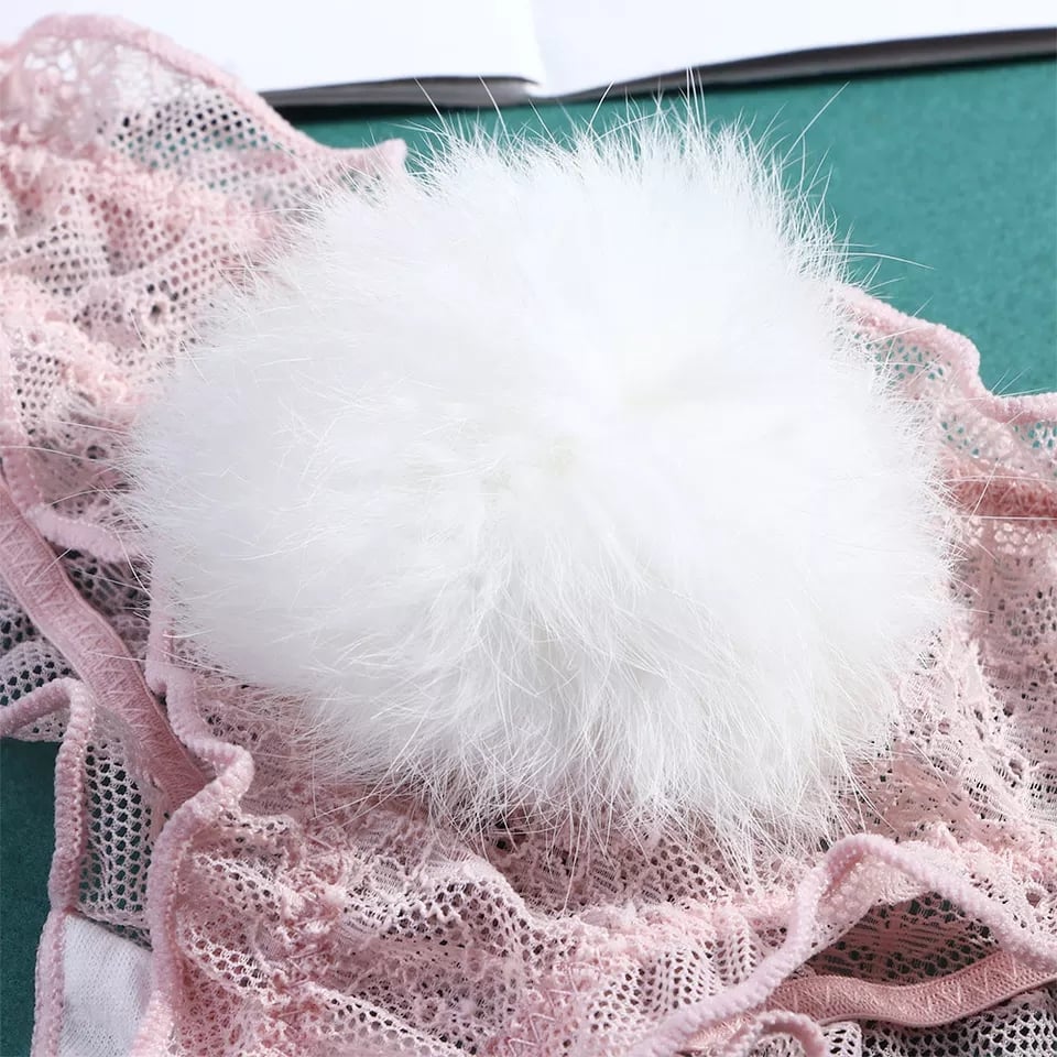 Sexy Cute Bunny Rabbit Pompom Tail Transparent Underwear Panties Lingerie Thong Aesthetic Casual Summer E-Girl Kawaii Korean Japanese Harajuku