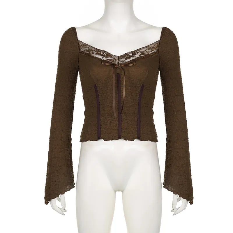 Brown Lace Trim V Neck Flare Long Sleeve Top