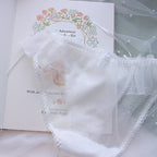 Sweet Bow Mesh Bra + Panties Set