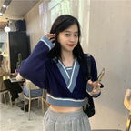 Panelled V Neck Cropped Loose Long Sleeve Jumper