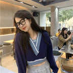 Panelled V Neck Cropped Loose Long Sleeve Jumper
