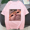 Cute Pink Funny Cat Kitten Meme Cartoon Print Loose Short Sleeve Short T-shirt Tee Top Summer Casual E-Girl Kawaii Korean Japanese Harajuku Streetwear