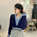 Panelled V Neck Cropped Loose Long Sleeve Jumper