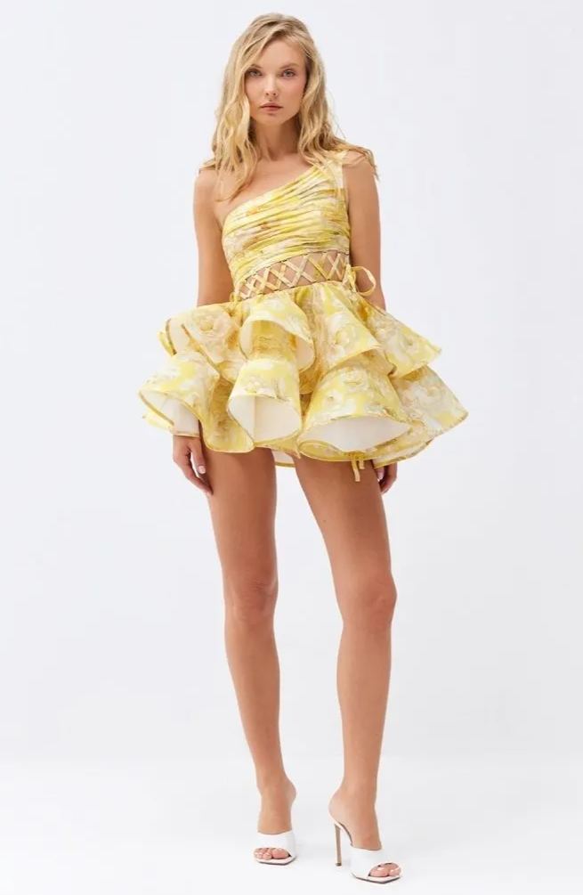 Paula Premium Floral Print One Shoulder Chiffon Mini Dress Everyday Luxe Edit
