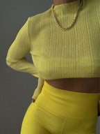 High Neck Semi Sheer Knit Top