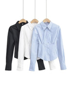 Pleated Button Down Long Sleeve Blouse