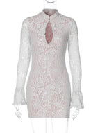 Brianna Lace Mini Dress