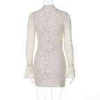 Brianna Lace Mini Dress