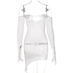 Long sleeve off shoulder fishnet see through dress