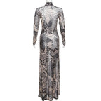 Sheer mesh see through abstract long sleeve high neck maxi dress