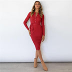 Polo Collar Button Placket Ribbed Knit Tie Waist Bodycon Midi Dress