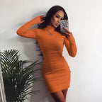 Ribbed Knit Mock Neck Long Sleeve Bodycon Mini Dress