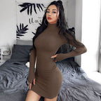 Ribbed Knit Mock Neck Long Sleeve Bodycon Mini Dress