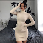Ribbed Knit Mock Neck Long Sleeve Bodycon Mini Dress