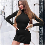 Mock Neck Long Sleeve Bodycon Mini Dress