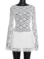 Sofia Lace Long Sleeve Mini Dress