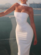 Sofia Strapless Sleek Maxi Dress