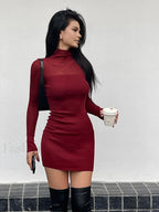 Tulle Sheer Panel Sweater Dress