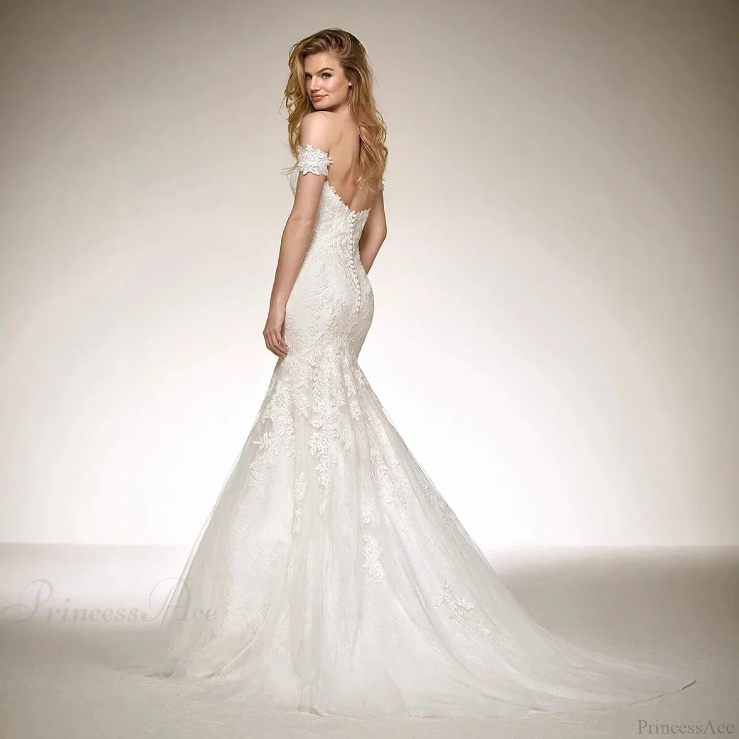 V-Neck Long Train Sheer Wedding Dress